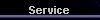  Service 